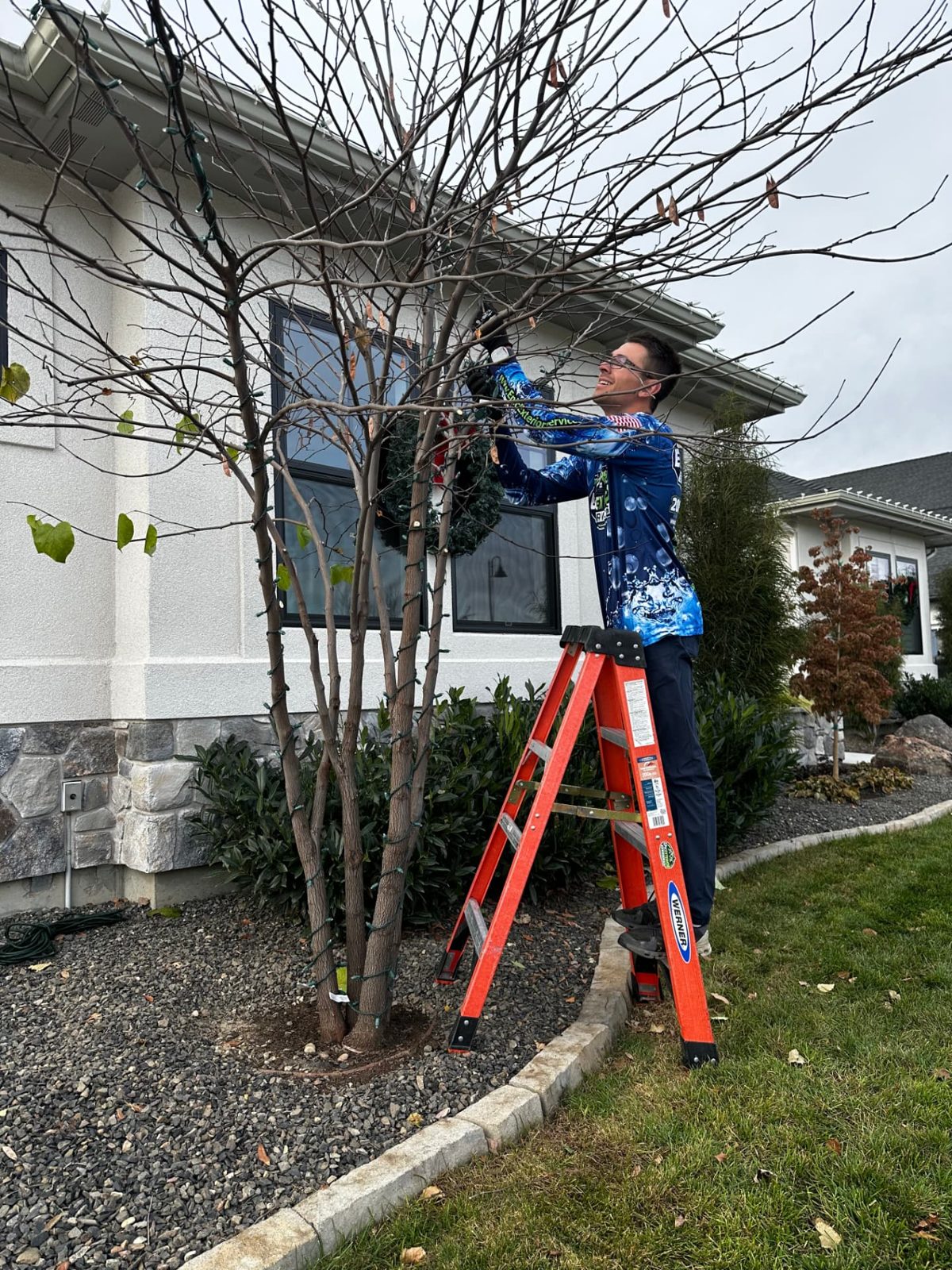 Installer on a ladder hanging a lit wreath and wrapping tree branches